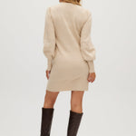 Silver Crew neck sweater dress back