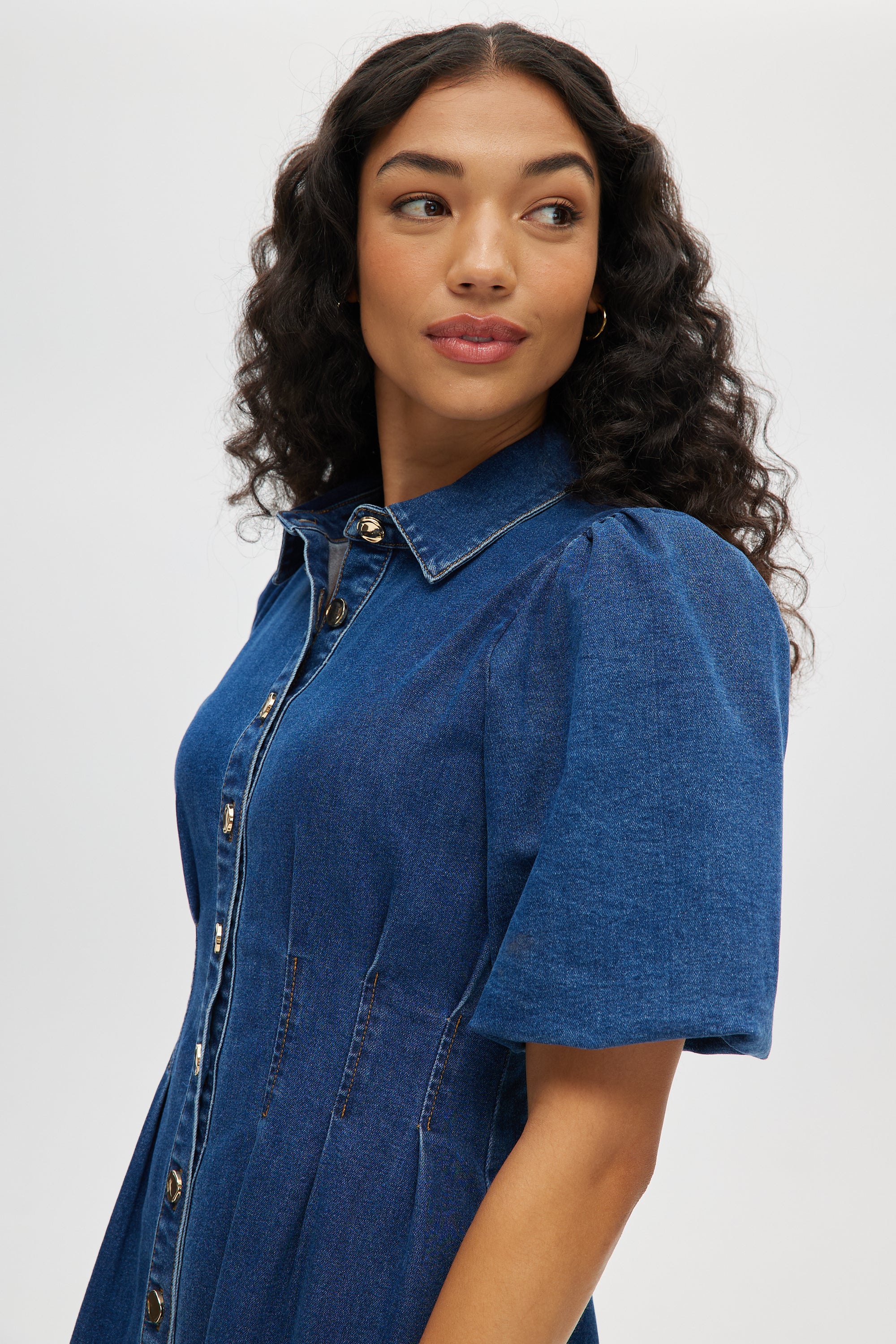 Puff-Sleeve Denim Shirt Dress Hilary Radley Puff-Sleeve Denim Shirt Dress Hilary Radley